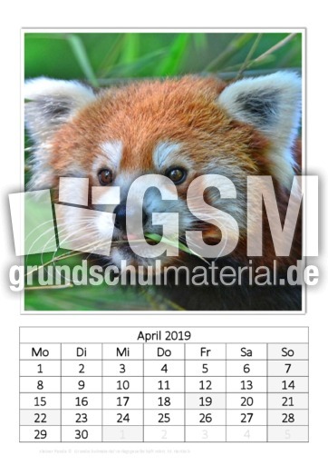 April_Kleiner Panda.pdf